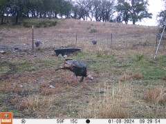 Real Estate in the Frio Canyon