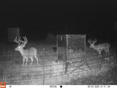 Real Estate in the Frio Canyon