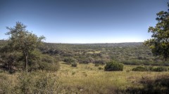 Real Estate in the Frio Canyon