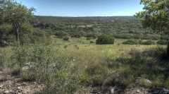 Real Estate in the Frio Canyon