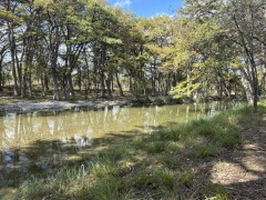 Real Estate in the Frio Canyon