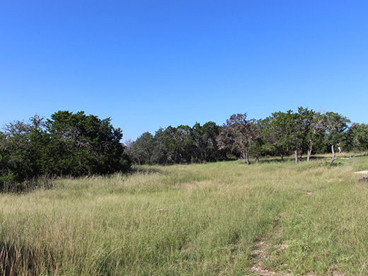 Solid Rock Real Estate listing