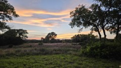 Solid Rock Real Estate