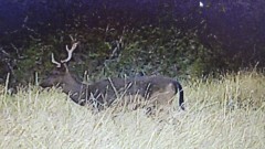 Solid Rock Real Estate