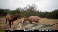 Solid Rock Real Estate