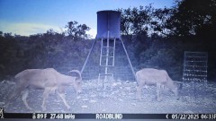 Solid Rock Real Estate