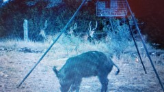 Solid Rock Real Estate