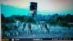 Solid Rock Real Estate