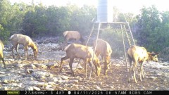 Solid Rock Real Estate