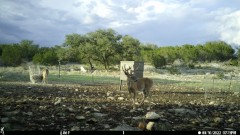 Solid Rock Real Estate