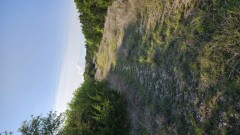 Solid Rock Real Estate