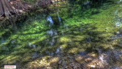 Solid Rock Real Estate