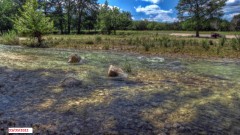 Solid Rock Real Estate