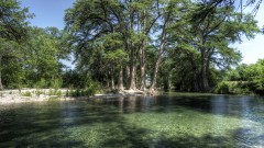 Solid Rock Real Estate