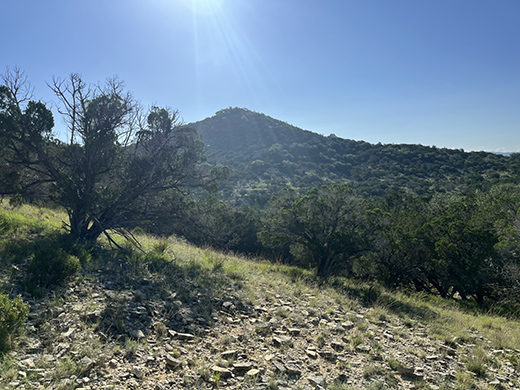Solid Rock Real Estate listing