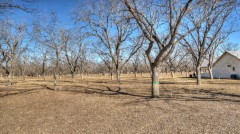Solid Rock Real Estate