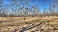 Solid Rock Real Estate