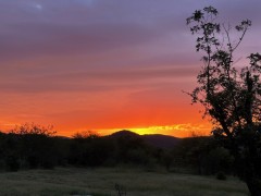 Solid Rock Real Estate