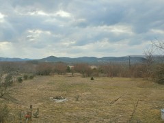 Solid Rock Real Estate