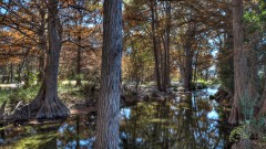 Solid Rock Real Estate