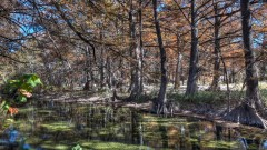 Solid Rock Real Estate