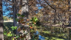 Solid Rock Real Estate