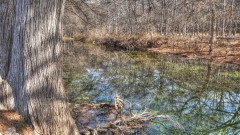 Solid Rock Real Estate