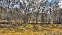 Solid Rock Real Estate