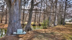 Solid Rock Real Estate