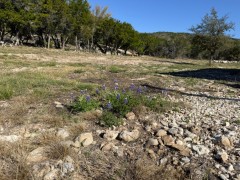 Solid Rock Real Estate