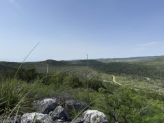 Solid Rock Real Estate