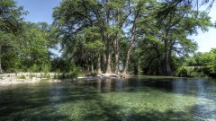 Solid Rock Real Estate