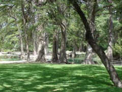 Solid Rock Real Estate